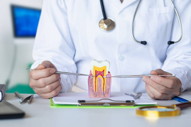 Best Root Canal Emergency Dentist  in North Wales, PA